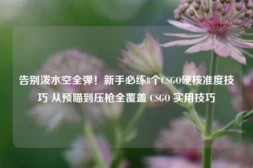 告别泼水空全弹！新手必练8个CSGO硬核准度技巧 从预瞄到压枪全覆盖 CSGO 实用技巧