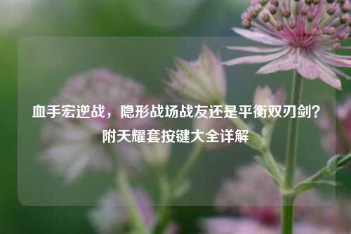 血手宏逆战,隐形战场战友还是平衡双刃剑?附天耀套按键大全详解