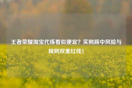 王者荣耀淘宝代练看似便宜？实则踩中风险与规则双重红线！
