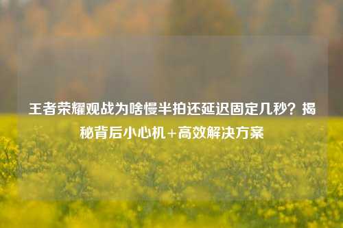 王者荣耀观战为啥慢半拍还延迟固定几秒?揭秘背后小心机+高效解决方案
