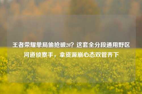 王者荣耀单局偷抢破20?这套全分段通用野区河道侦察手,拿资源崩心态双管齐下