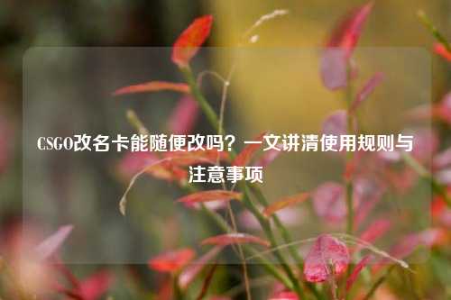 CSGO改名卡能随便改吗?一文讲清使用规则与注意事项