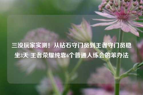 三没玩家实测！从钻石守门员到王者守门员稳坐3天 王者荣耀纯靠6个普通人练会的笨办法