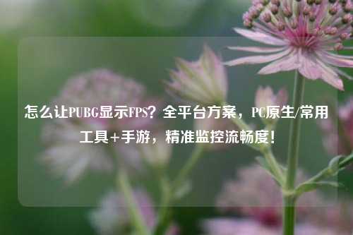 怎么让PUBG显示FPS?全平台方案,PC原生/常用工具+手游,精准监控流畅度!