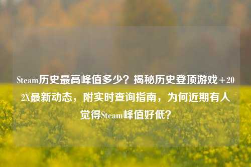 Steam历史最高峰值多少?揭秘历史登顶游戏+202X最新动态,附实时查询指南,为何近期有人觉得Steam峰值好低?