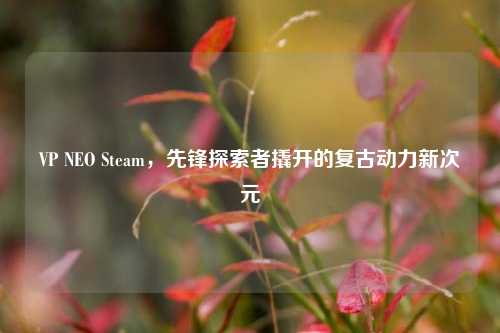 VP NEO Steam,先锋探索者撬开的复古动力新次元