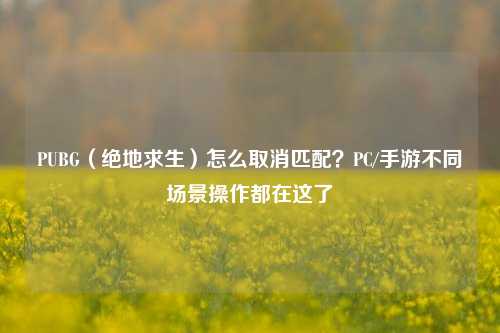 PUBG（绝地求生）怎么取消匹配？PC/手游不同场景操作都在这了