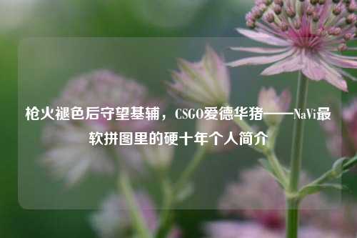 枪火褪色后守望基辅,CSGO爱德华猪——NaVi最软拼图里的硬十年个人简介