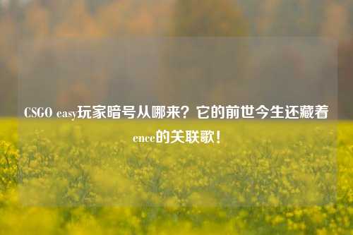 CSGO easy玩家暗号从哪来?它的前世今生还藏着ence的关联歌!