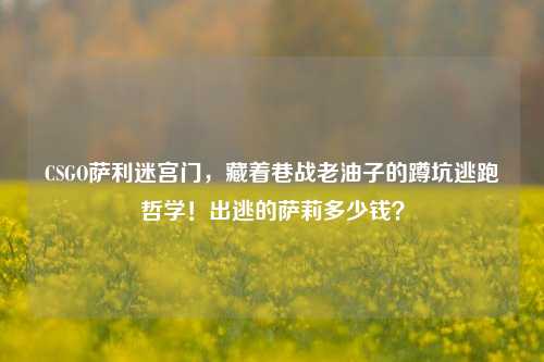 CSGO萨利迷宫门,藏着巷战老油子的蹲坑逃跑哲学!出逃的萨莉多少钱?