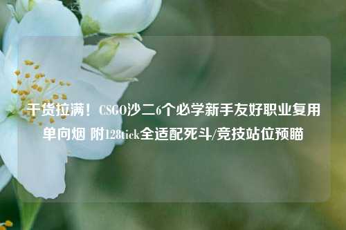 干货拉满!CSGO沙二6个必学新手友好职业复用单向烟 附128tick全适配死斗/竞技站位预瞄