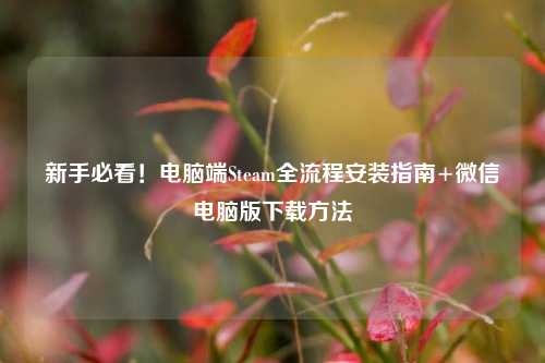 新手必看!电脑端Steam全流程安装指南+微信电脑版下载方法