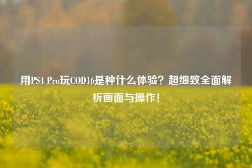 用PS4 Pro玩COD16是种什么体验?超细致全面解析画面与操作!