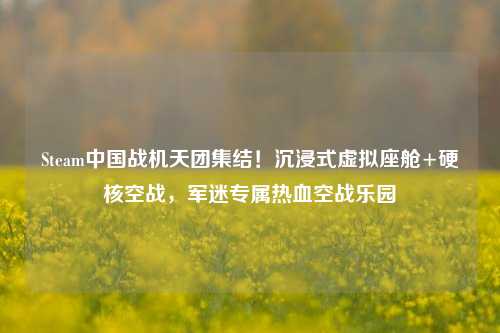 Steam中国战机天团集结!沉浸式虚拟座舱+硬核空战,军迷专属热血空战乐园