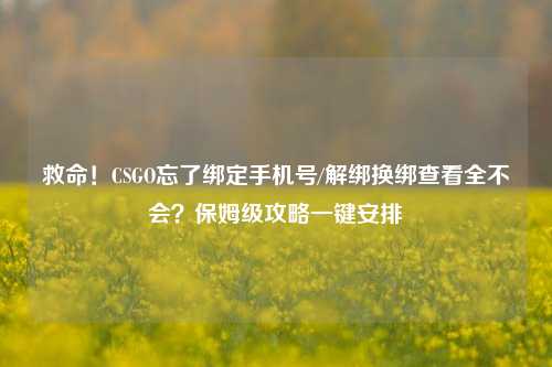 救命!CSGO忘了绑定手机号/解绑换绑查看全不会?保姆级攻略一键安排