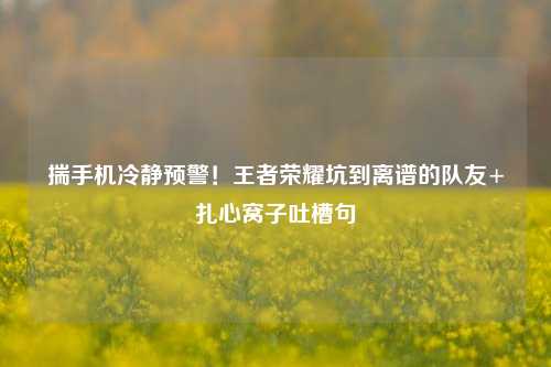 揣手机冷静预警！王者荣耀坑到离谱的队友+扎心窝子吐槽句