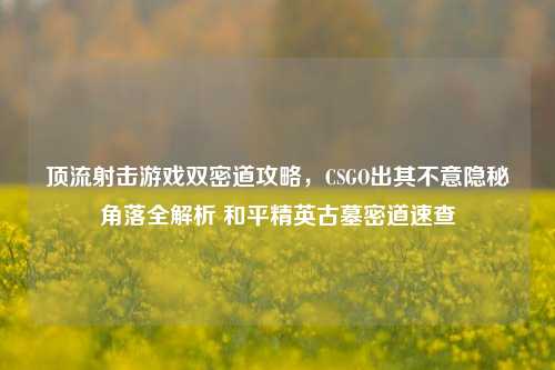 顶流射击游戏双密道攻略，CSGO出其不意隐秘角落全解析 和平精英古墓密道速查