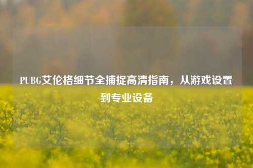 PUBG艾伦格细节全捕捉高清指南,从游戏设置到专业设备