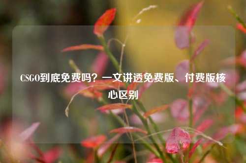 CSGO到底免费吗？一文讲透免费版、付费版核心区别