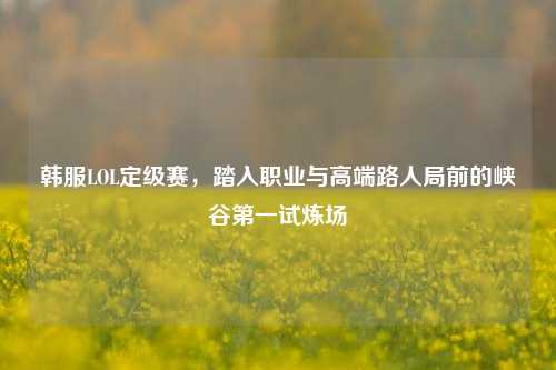 韩服LOL定级赛,踏入职业与高端路人局前的峡谷第一试炼场
