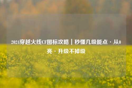 2024穿越火线CF图标攻略|秒懂几级能点·从0亮·升级不掉级