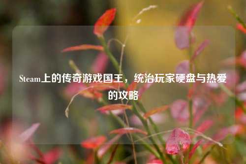 Steam上的传奇游戏国王，统治玩家硬盘与热爱的攻略