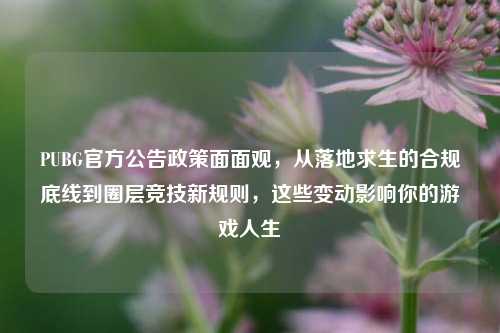 PUBG官方公告政策面面观,从落地求生的合规底线到圈层竞技新规则,这些变动影响你的游戏人生