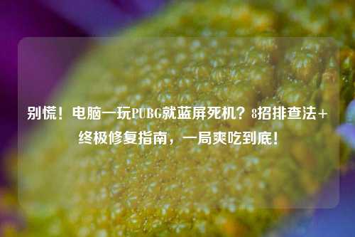 别慌!电脑一玩PUBG就蓝屏死机?8招排查法+终极修复指南,一局爽吃到底!