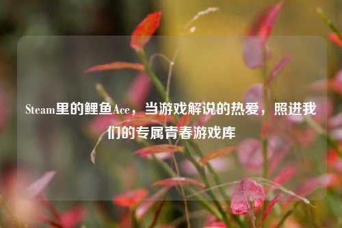 Steam里的鲤鱼Ace,当游戏解说的热爱,照进我们的专属青春游戏库