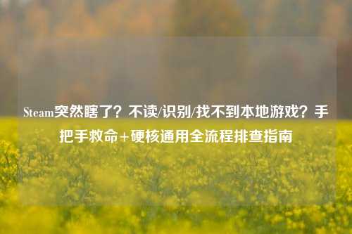Steam突然瞎了?不读/识别/找不到本地游戏?手把手救命+硬核通用全流程排查指南