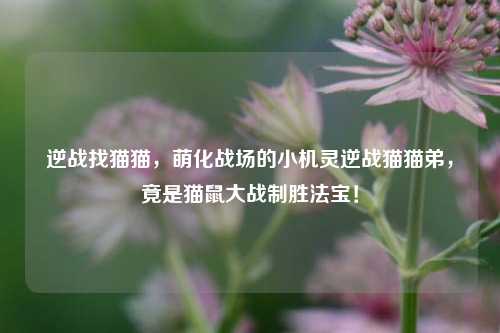 逆战找猫猫，萌化战场的小机灵逆战猫猫弟，竟是猫鼠大战制胜法宝！