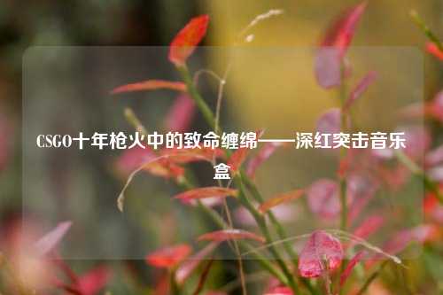 CSGO十年枪火中的致命缠绵——深红突击音乐盒