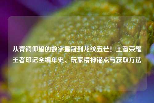 从青铜仰望的数字皇冠到龙纹五芒!王者荣耀王者印记全编年史、玩家精神锚点与获取方法