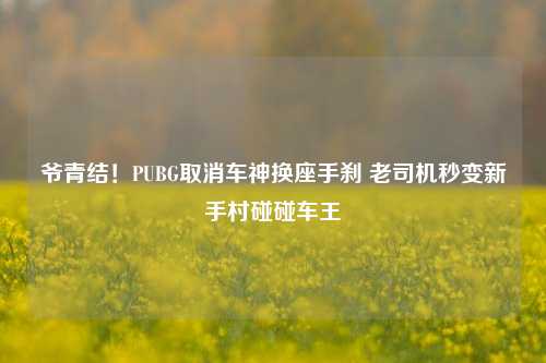 爷青结!PUBG取消车神换座手刹 老司机秒变新手村碰碰车王