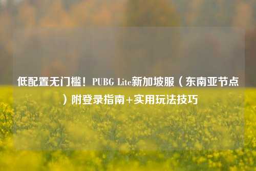 低配置无门槛!PUBG Lite新加坡服(东南亚节点)附登录指南+实用玩法技巧