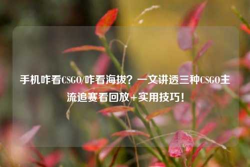 手机咋看CSGO/咋看海拔？一文讲透三种CSGO主流追赛看回放+实用技巧！