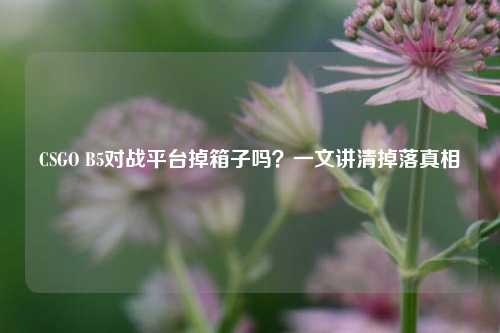 CSGO B5对战平台掉箱子吗?一文讲清掉落真相