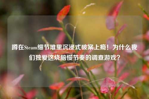 蹲在Steam细节堆里沉浸式破案上瘾!为什么我们独爱这烧脑慢节奏的调查游戏?