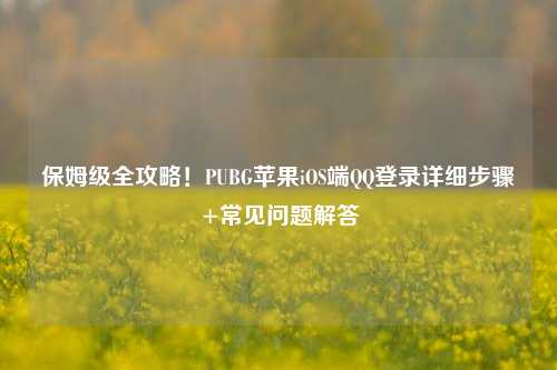 保姆级全攻略！PUBG苹果iOS端QQ登录详细步骤+常见问题解答