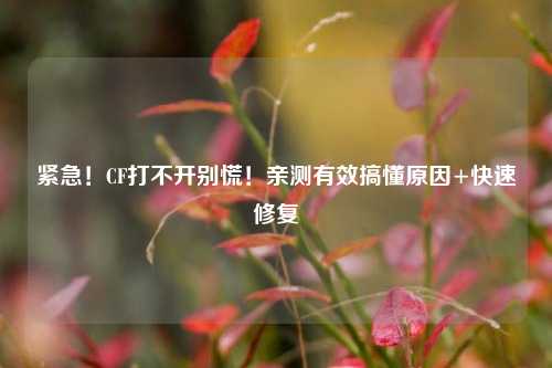 紧急!CF打不开别慌!亲测有效搞懂原因+快速修复