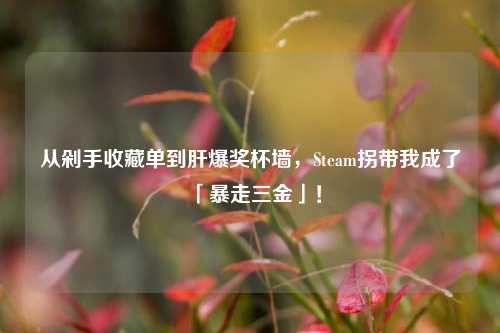 从剁手收藏单到肝爆奖杯墙,Steam拐带我成了「暴走三金」!