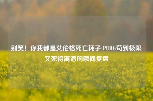 别笑!你我都是艾伦格死亡耗子 PUBG苟到极限又死得离谱的瞬间复盘