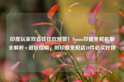 印度玩家双省钱狂欢预警!Steam印度免税机制全解析+避坑指南,附印度免税店10件必买好物