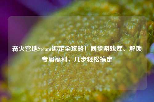 篝火营地Steam绑定全攻略!同步游戏库、解锁专属福利,几步轻松搞定