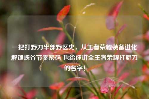 一把打野刀半部野区史,从王者荣耀装备进化解锁峡谷节奏密码 也给你讲全王者荣耀打野刀的名字!