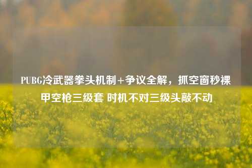PUBG冷武器拳头机制+争议全解，抓空窗秒裸甲空枪三级套 时机不对三级头敲不动