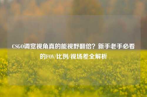 CSGO调宽视角真的能视野翻倍?新手老手必看的FOV/比例/视场差全解析