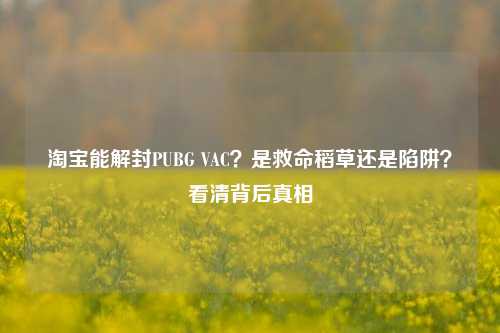 淘宝能解封PUBG VAC?是救命稻草还是陷阱?看清背后真相