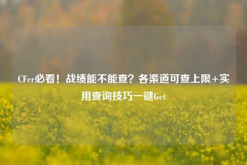 CFer必看!战绩能不能查?各渠道可查上限+实用查询技巧一键Get
