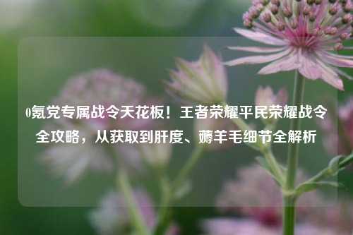 0氪党专属战令天花板!王者荣耀平民荣耀战令全攻略,从获取到肝度、薅羊毛细节全解析